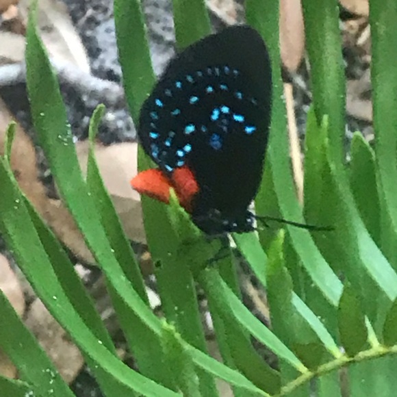 Loving Poshmark - Picture 5 of 6